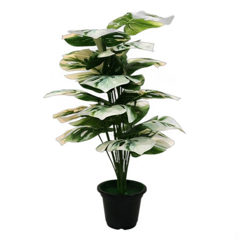 Shweta Enterprise - Artificial Plants & Grass for sale in Hyderabad, Telangana